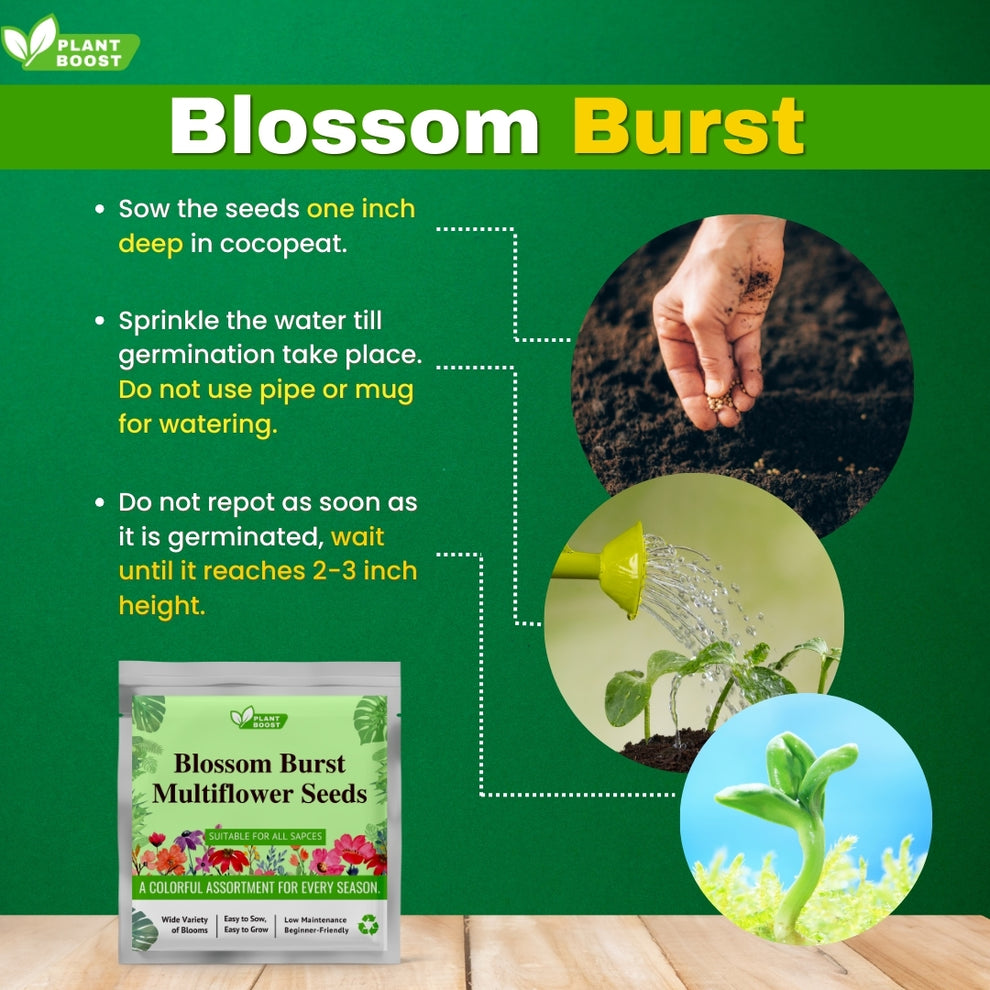Plant Boost Combo (3 Plant Boost Packs FREE with 2 Flower Seed Packs)