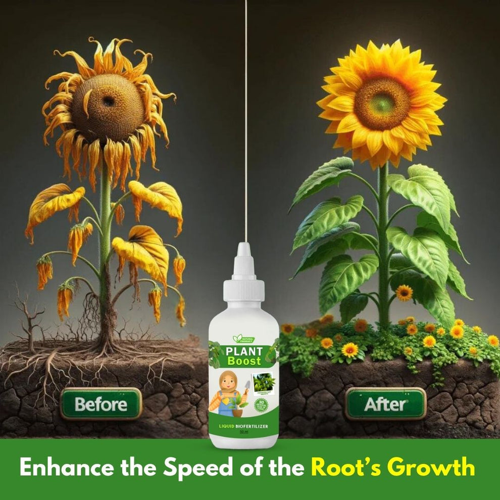 Plant Boost Combo (3 Plant Boost Packs FREE with 2 Flower Seed Packs)