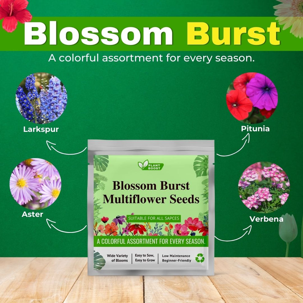 Plant Boost Combo (3 Plant Boost Packs FREE with 2 Flower Seed Packs)