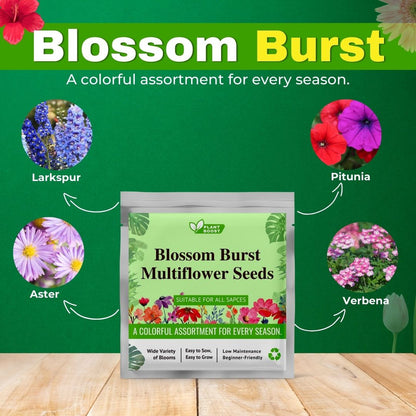 Plant Boost Combo (3 Plant Boost Packs FREE with 2 Flower Seed Packs)